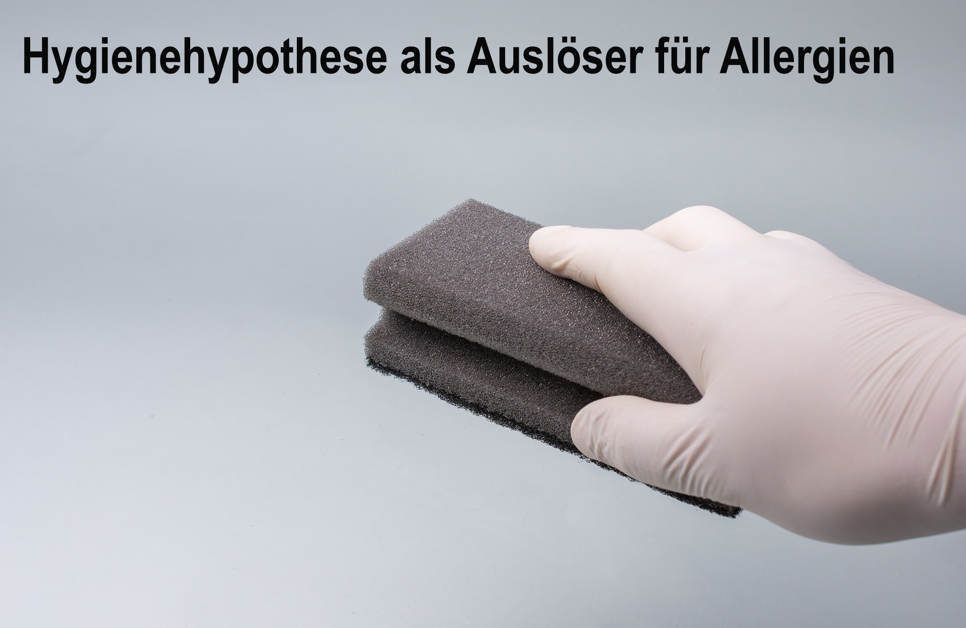 Allergieentstehung