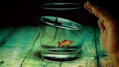Wasserallergie – Ursachen, Symptome und Behandlungsmöglichkeiten