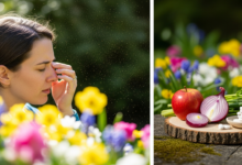 Qürcetin bei Heuschnupfen
